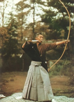 maestro.jpg (27106 byte)